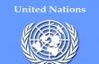 В ООН опровергли российские заявления о беженцах из Украины