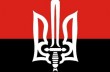 «Правый сектор» приглашает россиян в «Русский легион»