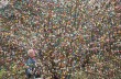 Немецкий пенсионер украсил дерево тысячей пасхальных яиц
