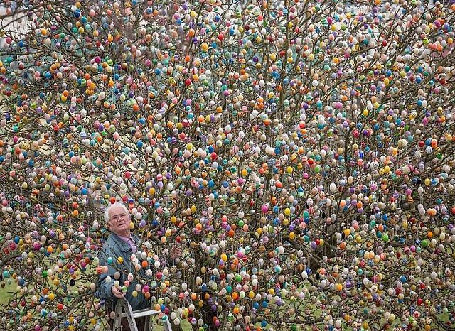 Немецкий пенсионер украсил дерево тысячей пасхальных яиц