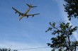 Обстрелом самолета над Славянском займется военная прокуратура