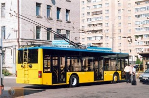 Семье погибшей пассажирки, выпавшей из троллейбуса, заплатят 420 тысяч гривен