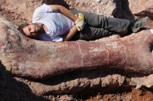 В Аргентине выкопали самого большого динозавра в истории