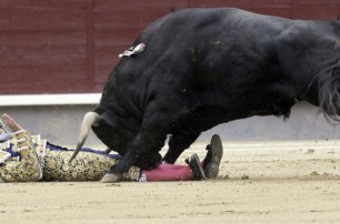 В Мадриде во время корриды быки перебили всех матадоров