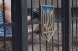 С ворот Луганской ОГА спилили герб Украины