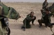 В Ираке за сутки уничтожено 270 террористов