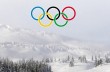 Львов отозвал заявку на проведение зимней Олимпиады-2022