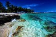 Карибы могут остаться без коралловых рифов через 20 лет