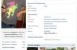 Депутаты УДАРа ищут девушек в интернете