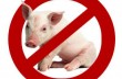Минагро Украины запретило импортировать российскую свинину