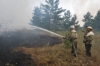 В Днепропетровской области горят леса