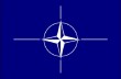 Разговоры о вступлении в НАТО — спекуляция - эксперт