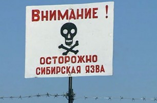 В Ростовской области работники молочной фермы заразились сибирской язвой