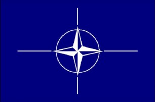 Разговоры о вступлении в НАТО — спекуляция - эксперт