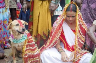 В Индии девушку выдали замуж за собаку