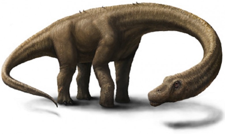 В Аргентине найден скелет динозавра весом 65 тонн