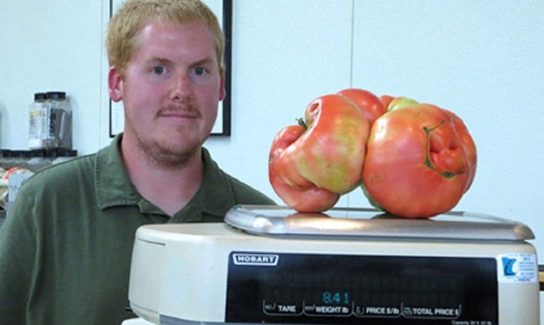 В США вырастили самый большой помидор в мире