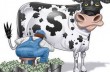 Из банков хотят сделать «дойных коров» - НАБУ