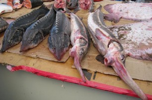 Украинцы резко сократили потребление рыбы