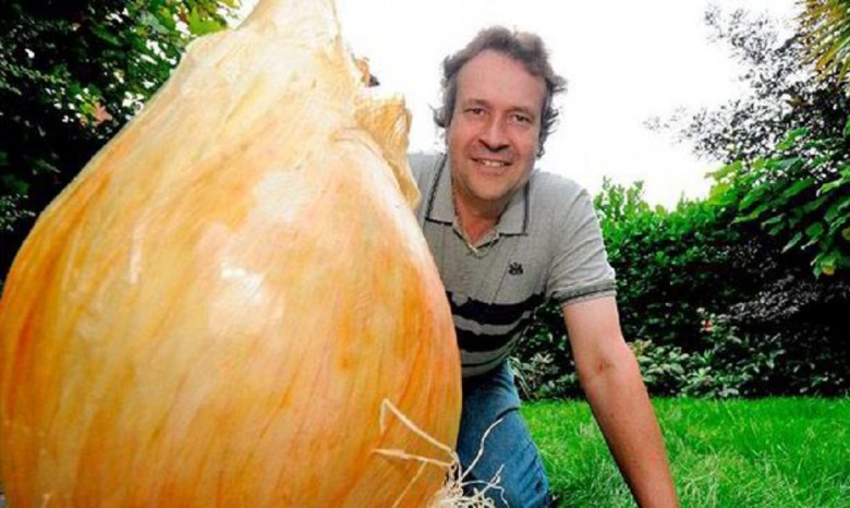 Британский фермер вырастил гигантский лук