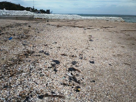 На двух одесских пляжах обнаружили пятна мазута