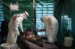 Вирус Эбола грозит перерасти в монстра