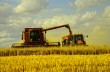 Треть урожая на Донбассе невозможно собрать – министр Швайка