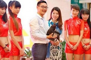 В Китае выбрали самую красивую курицу