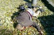 В Донецке за сутки погибли 5 человек
