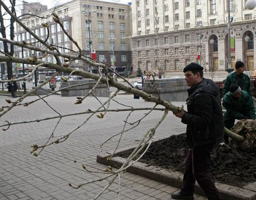 Киев снова связался со скандальными поставщиками каштанов Бриотти