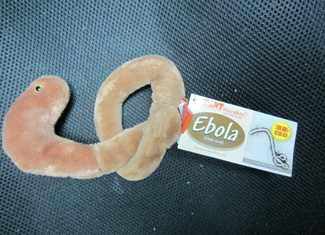 В мире появились мягкие игрушки в форме вируса Эболы
