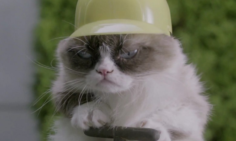 О самой сердитой кошке интернета сняли рождественский фильм