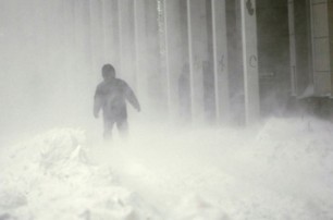 В США снегопад унес жизни 7 человек