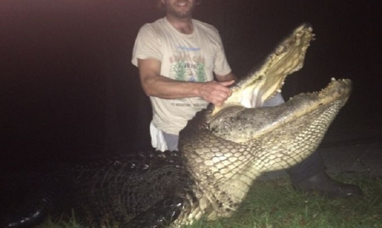Во Флориде поймали крокодила весом 326 килограммов