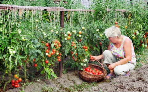 Закрытие рынков сбыта в России погубит украинских аграриев