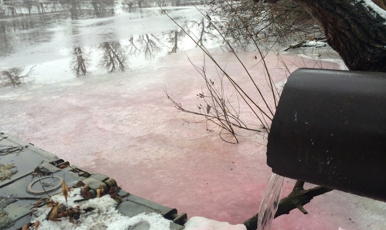 В Киеве река стала красной из-за загрязнения