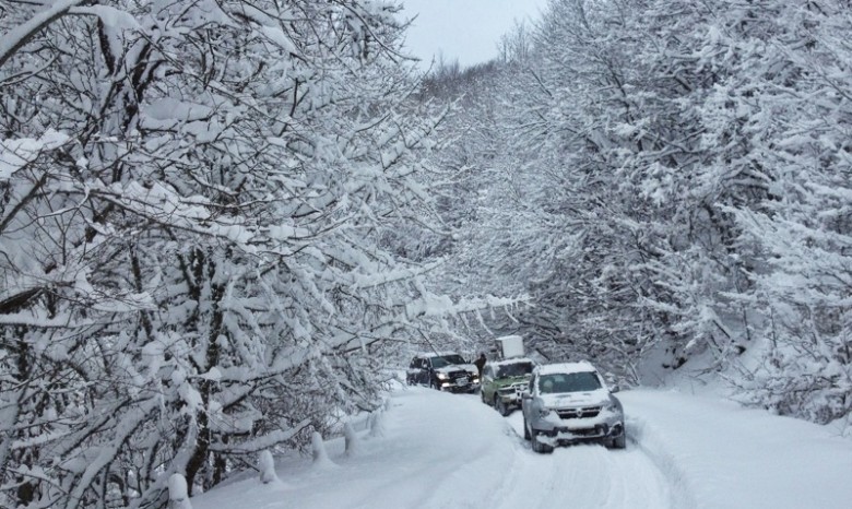 В 5 украинских областях снегопады ограничили движение транспорта