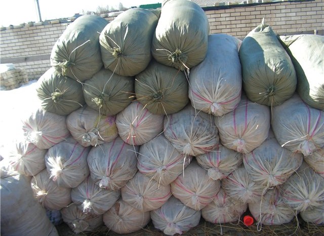 В Узбекистане учителя дали задание школьникам принести по мешку навоза