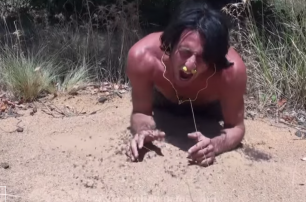 Австралиец попытался скормить себя муравьям (видео)