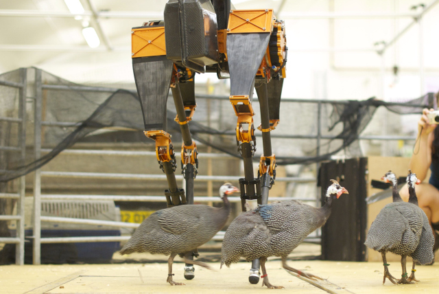 Американские ученые создали робота-бегуна
