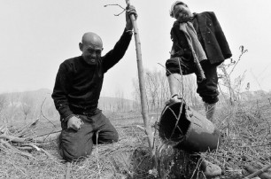 Двое китайцев-инвалидов вместе посадили 10 тысяч деревьев