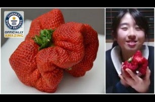 Японец вырастил самую тяжелую в мире ягоду земляники