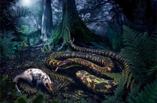 Первый змей, встретившийся с Адамом, был хищником с ногами
