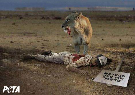 В ЮАР лев насмерть загрыз американскую туристку