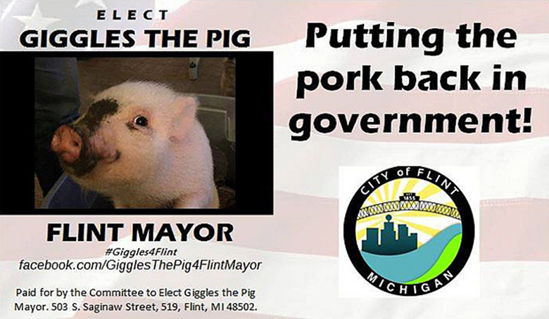 Новый мэр станет править городом по-свински