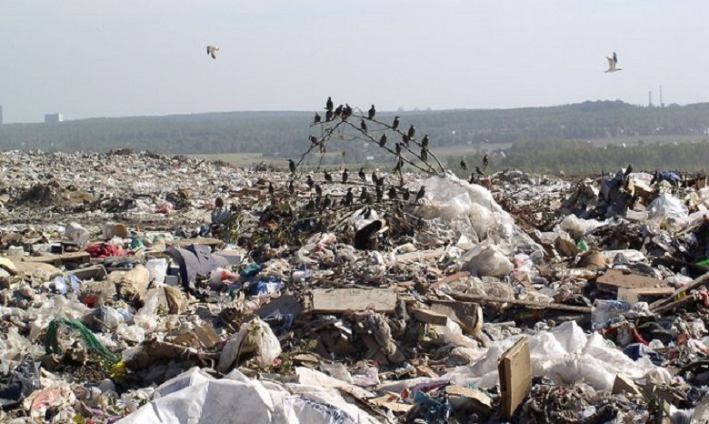 Минэкологии: 19% мусорных свалок в Украине являются экологической угрозой