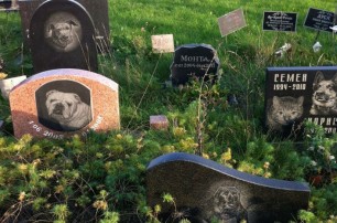 Многодетным семьям из РФ выдали участки на кладбище домашних животных