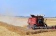 С начала года в результате рейдерских захватов в Украине уничтожено около 2 тысяч фермерских хозяйств – глава Аграрной партии