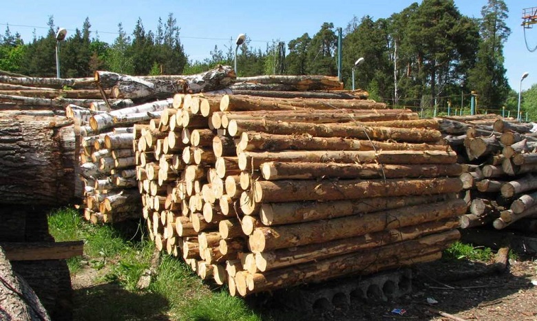 ЕС поддерживает Украину в ее желании защитить свои леса и отмечает, что введенный запрет на экспорт кругляка не предотвращает незаконную вырубку