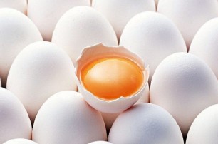 Украина теряет экспорт яиц